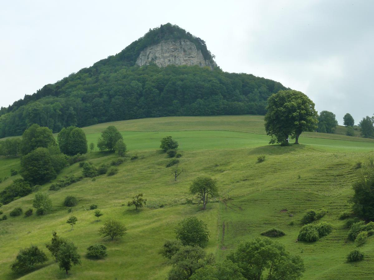 Gasthof Loewen Wisen Экстерьер фото